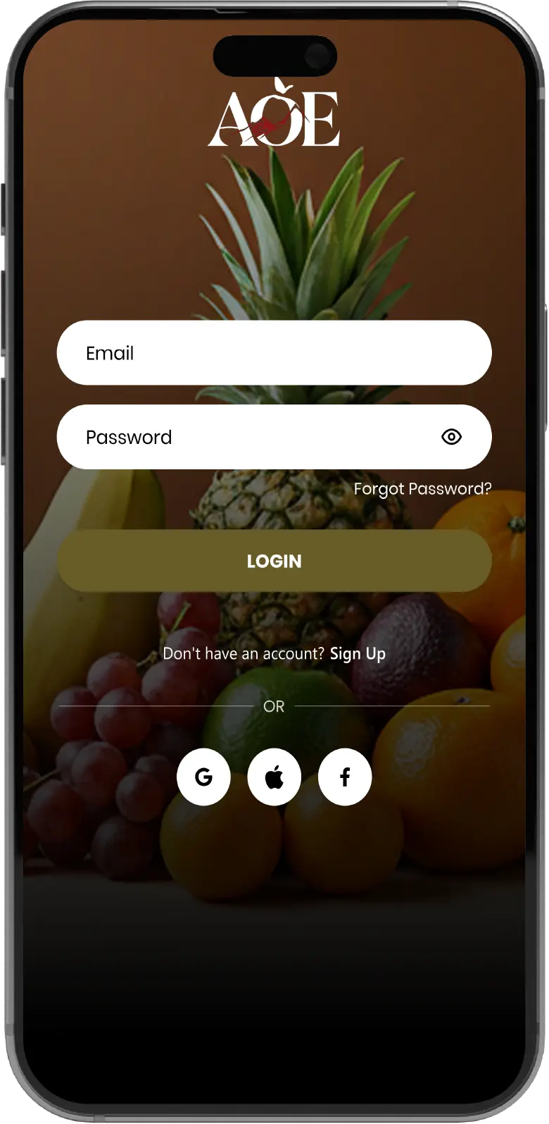 Login